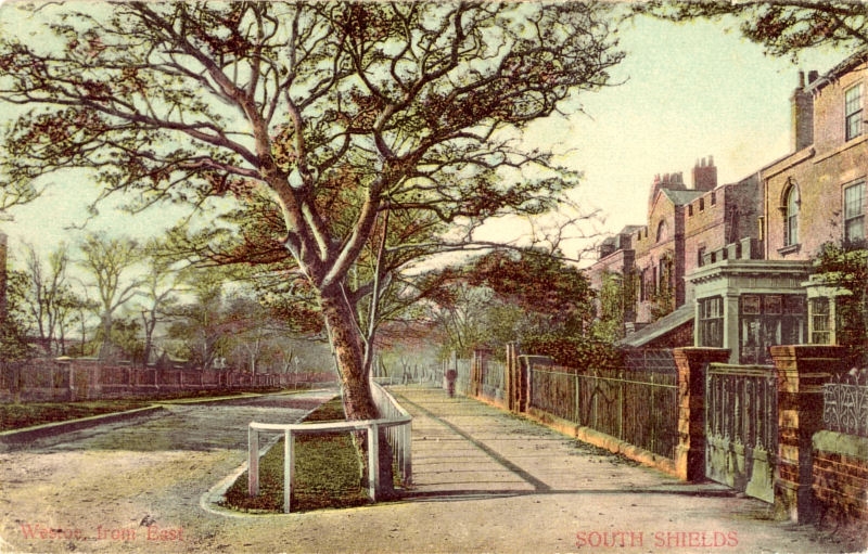 Westoe_from_East,_South_Shields_1904